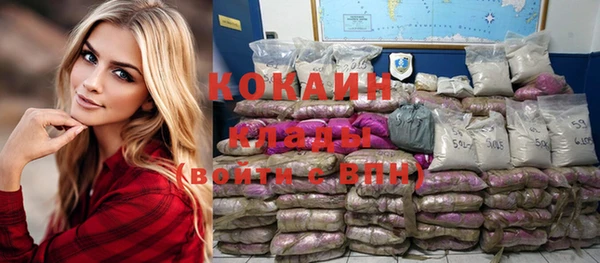 сатива Мегион