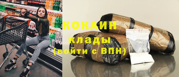 сатива Мегион