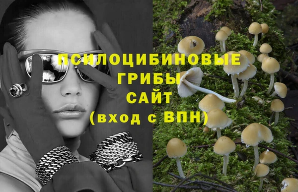 бутират Медногорск