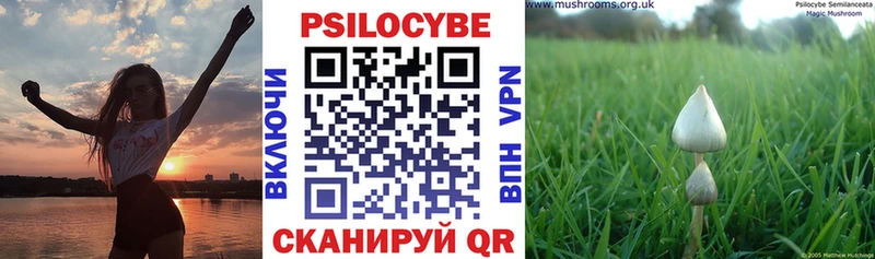 Псилоцибиновые грибы ЛСД  Мостовской 